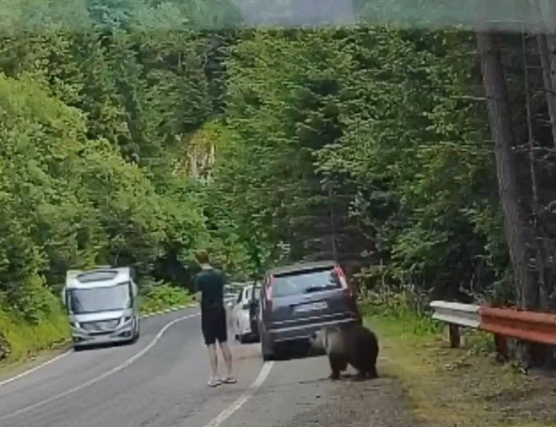 Pohodi�ka, �o nevid�m, to ma netr�pi